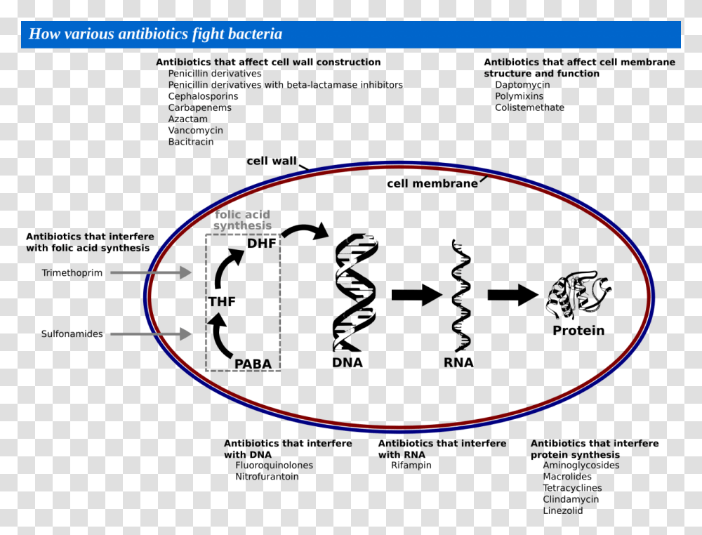 Diagram, Outdoors, Nature, Astronomy, Sunglasses Transparent Png