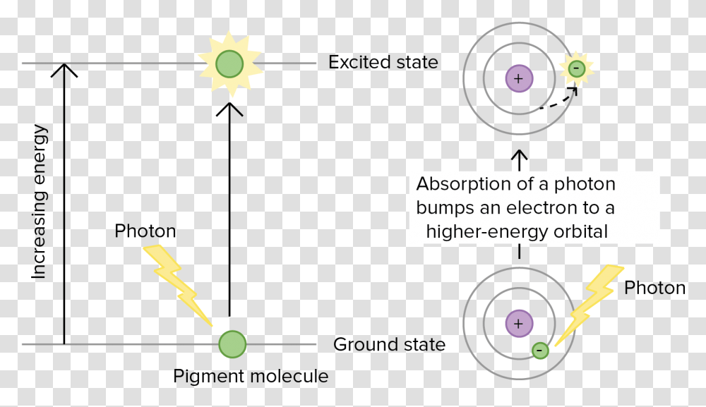 Diagram, Outdoors, Nature Transparent Png