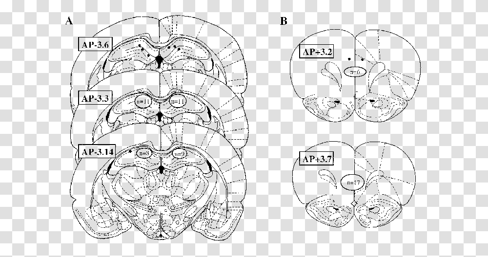 Diagram, Pattern, Ornament, Fractal Transparent Png