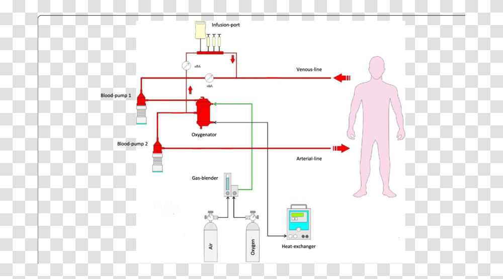 Diagram, Person, Human, Plot, Fire Hydrant Transparent Png