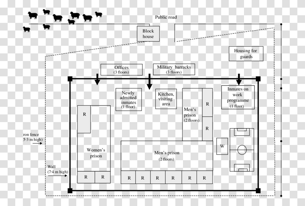 Diagram, Plan, Plot, Bird, Animal Transparent Png