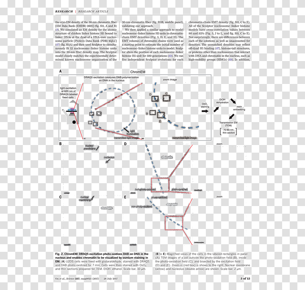 Diagram, Plan, Plot, Building, Architecture Transparent Png