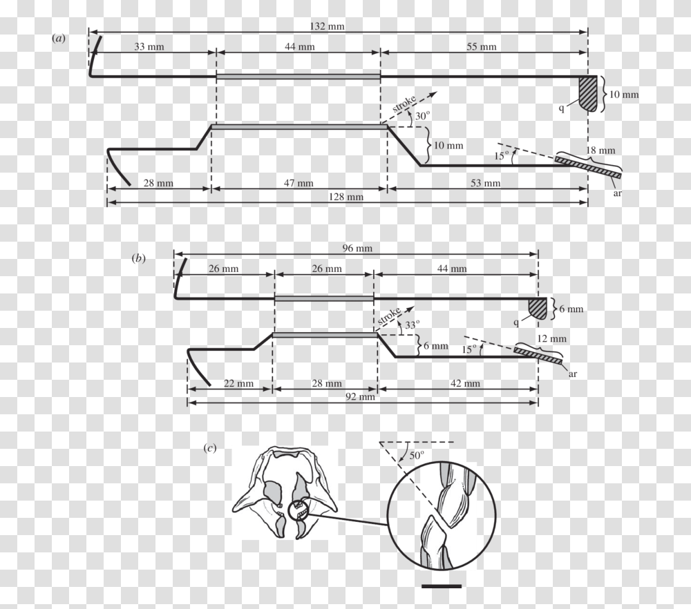 Diagram, Plan, Plot, Floor Plan Transparent Png