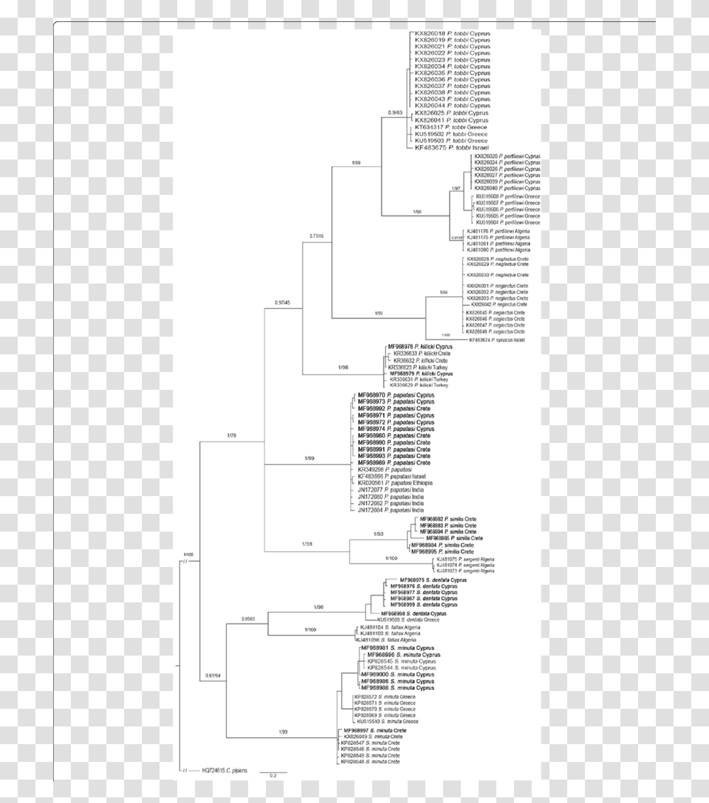 Diagram, Plan, Plot, Measurements Transparent Png