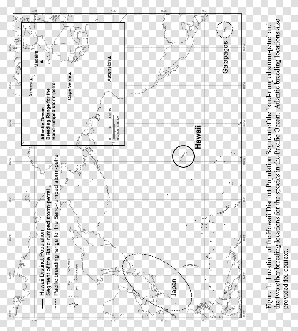 Diagram, Plan, Plot, Number Transparent Png