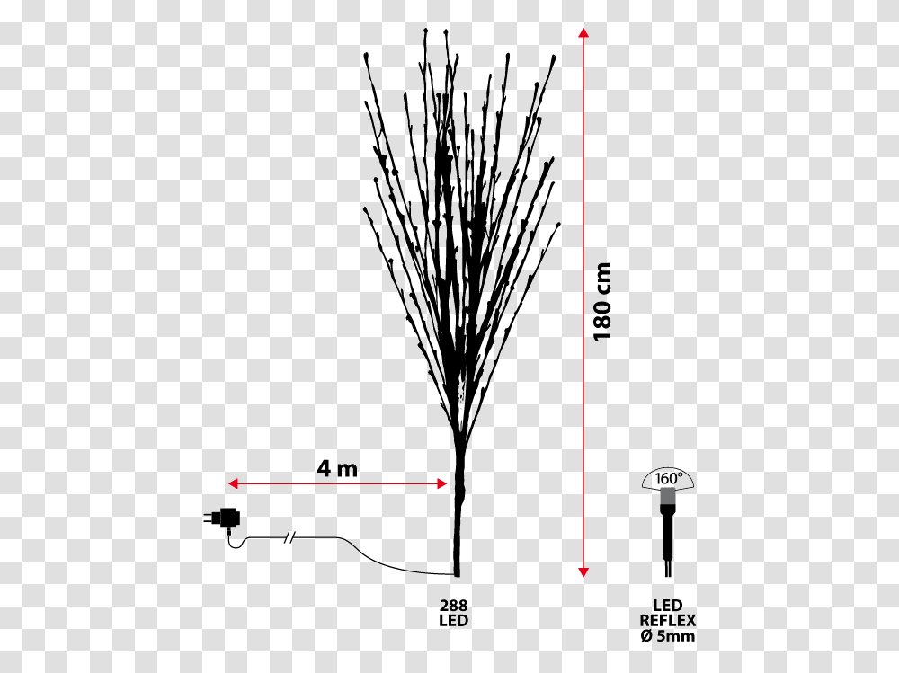 Diagram, Plant, Grass, Plot, Tree Transparent Png