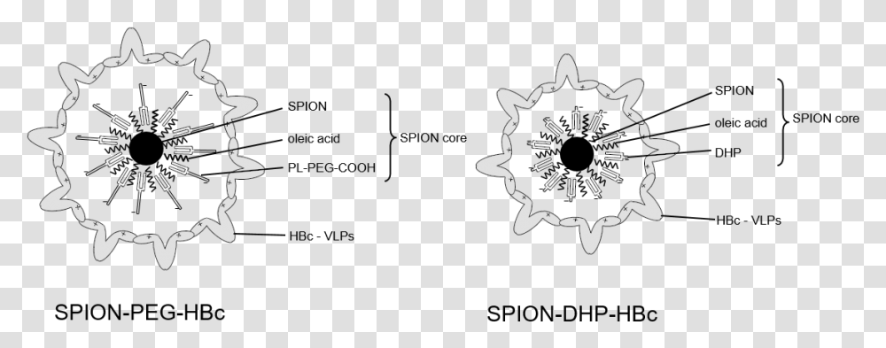 Diagram, Plant, Stencil, Flower, Blossom Transparent Png