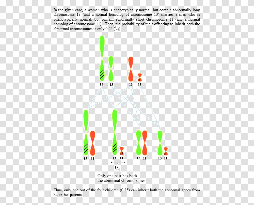 Diagram, Plot, Light Transparent Png