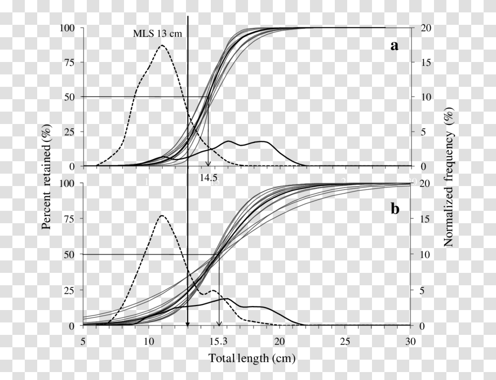 Diagram, Plot, Bow, Measurements, Plan Transparent Png