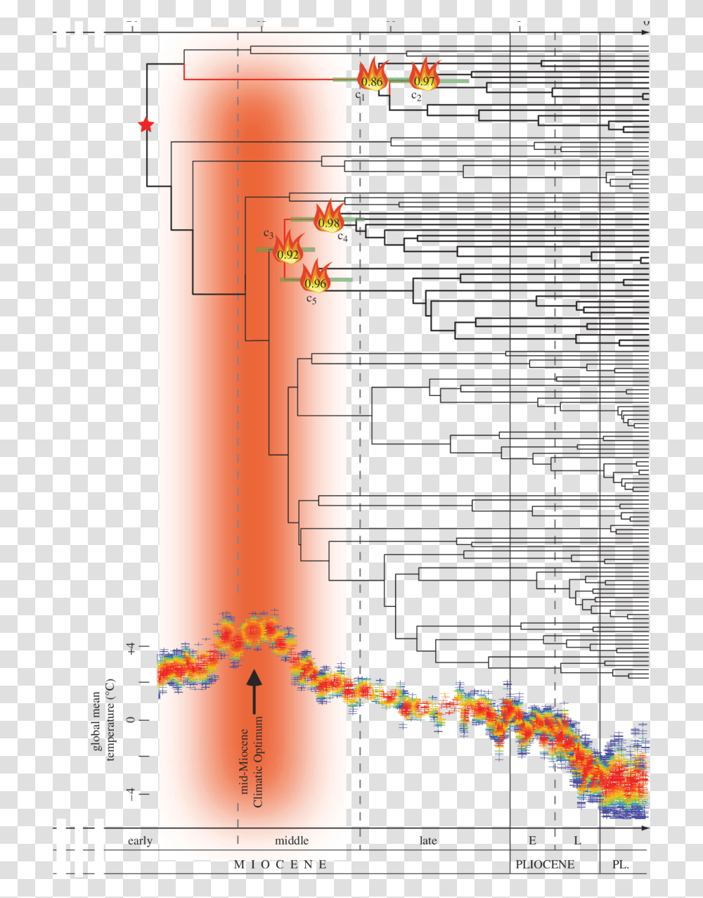 Diagram, Plot, Home Decor, Plan Transparent Png