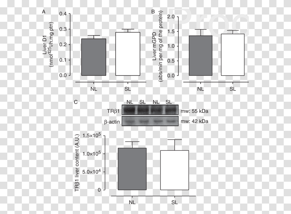 Diagram, Plot, Measurements, Plan, Number Transparent Png