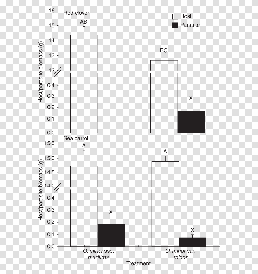 Diagram, Plot, Measurements, Plan Transparent Png