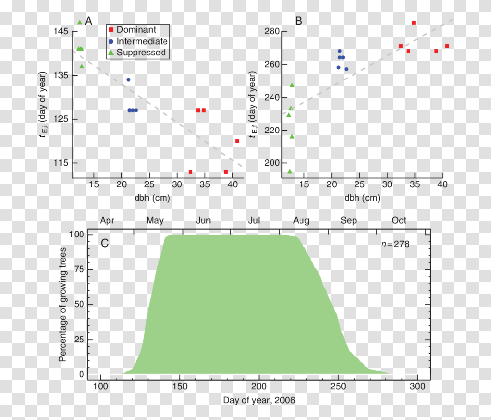 Diagram, Plot, Menu, Measurements Transparent Png