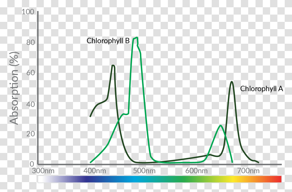 Diagram, Plot, Outdoors, Triangle, Measurements Transparent Png