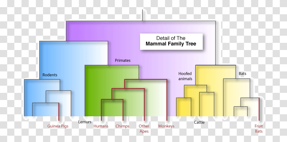 Diagram, Plot, Plan, Floor Plan Transparent Png