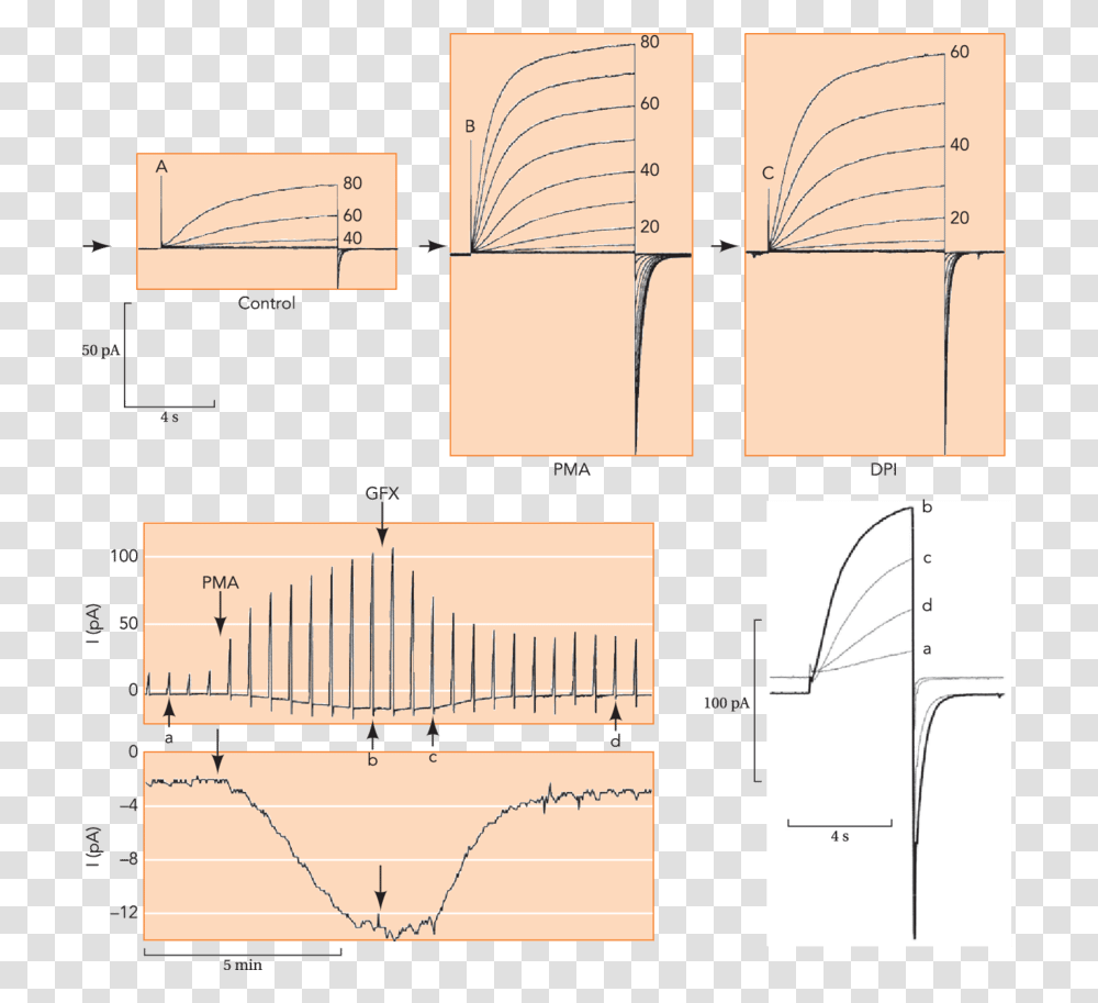 Diagram, Plot, Plan, Measurements, Home Decor Transparent Png