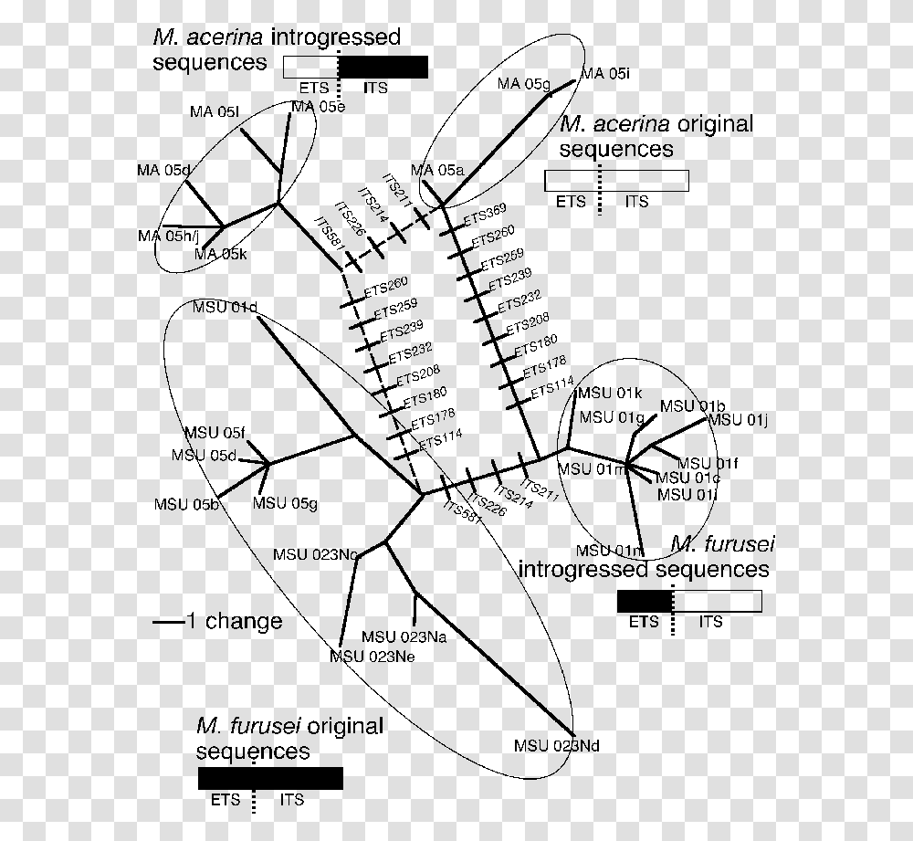 Diagram, Plot, Plan, Measurements, Number Transparent Png