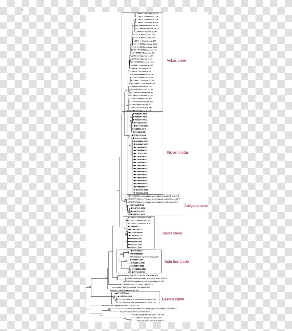 Diagram, Plot, Plan, Measurements, Steamer Transparent Png