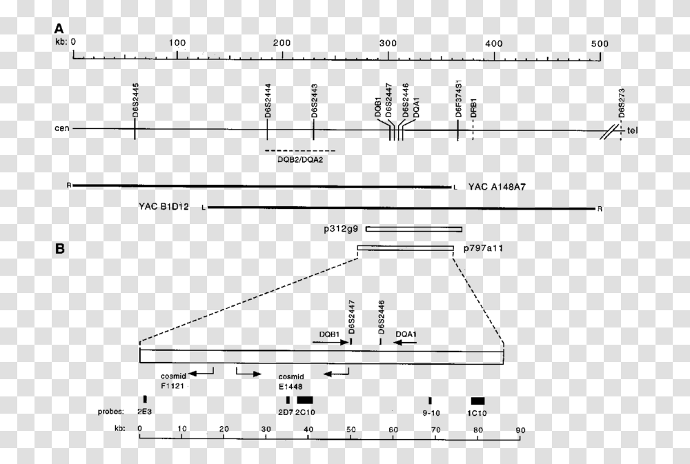 Diagram, Plot, Plan Transparent Png