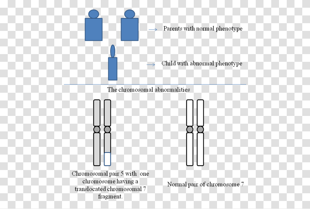 Diagram, Plot, Plan Transparent Png