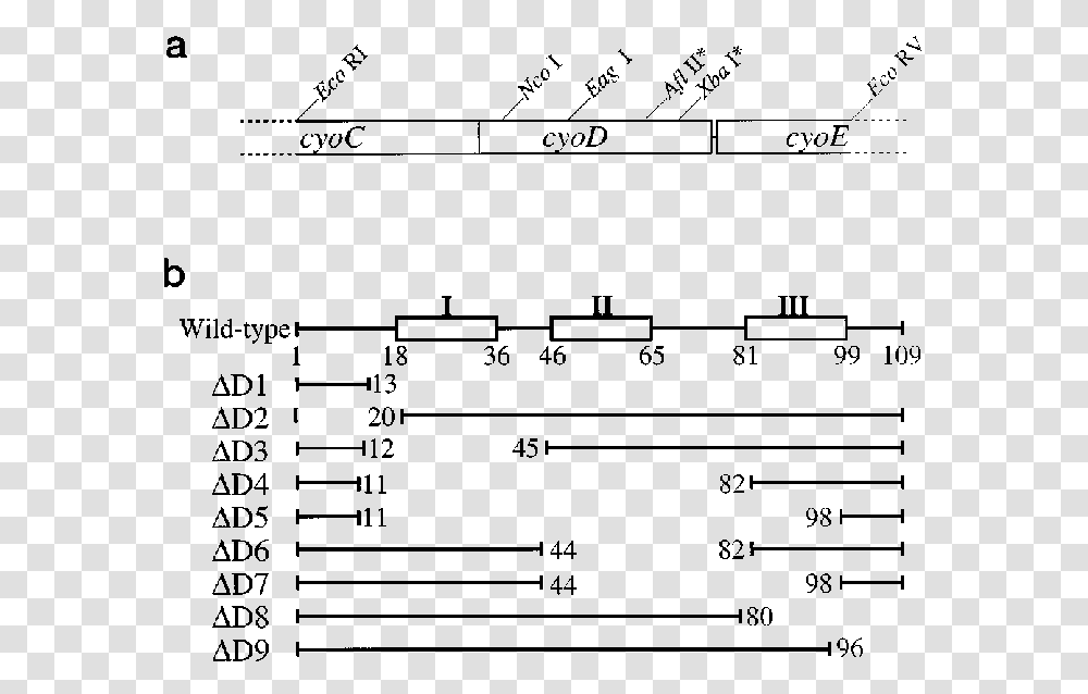 Diagram, Plot, Number Transparent Png