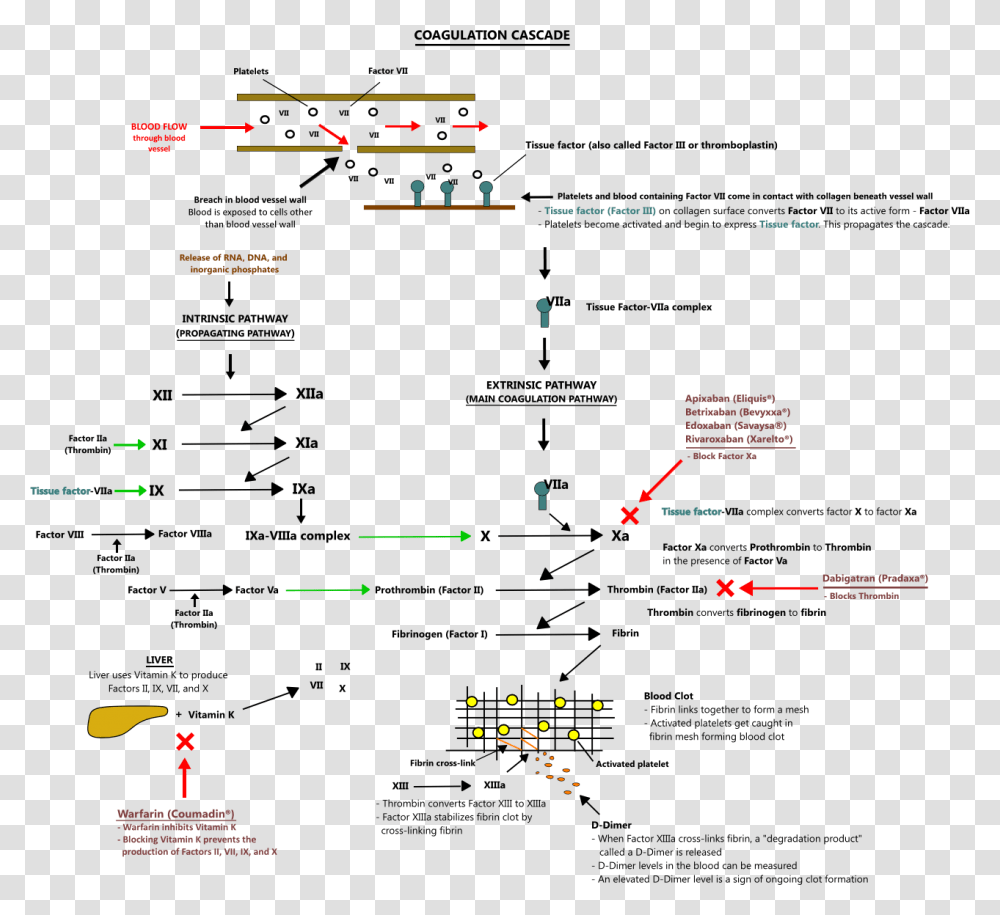 Diagram, Plot, Pac Man, Number Transparent Png