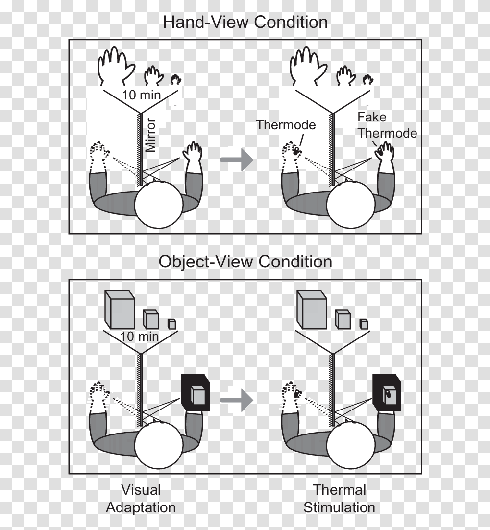 Diagram, Plot, Plan, Floor Plan Transparent Png