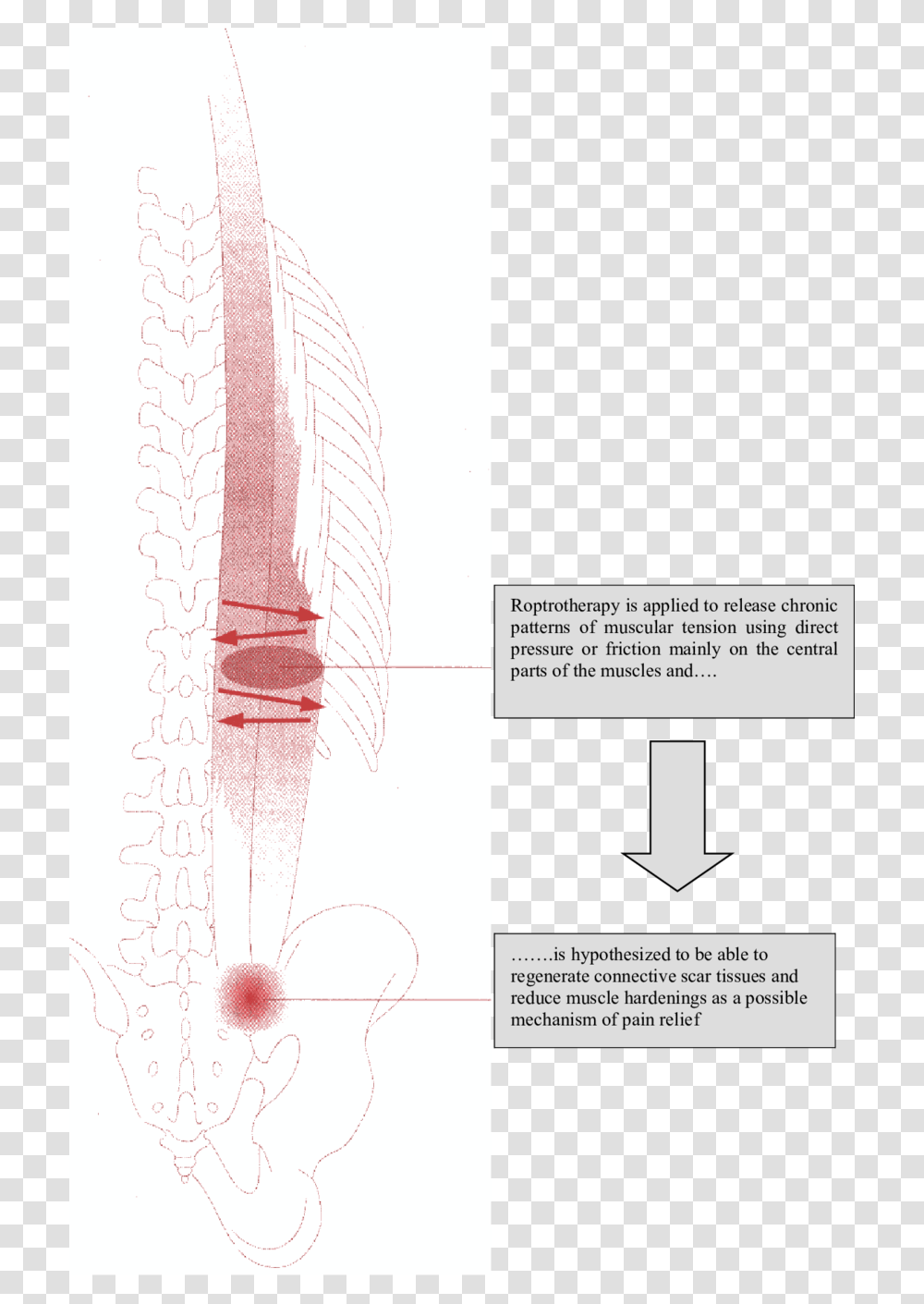 Diagram, Plot, Tie, Accessories, Accessory Transparent Png