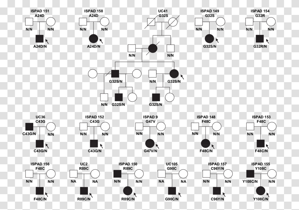 Diagram, Scoreboard, Plot, Plan Transparent Png