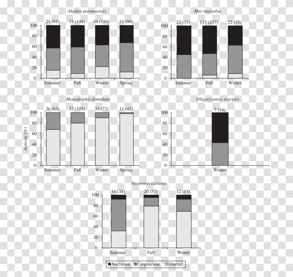 Diagram, Scoreboard, Word, Home Decor Transparent Png