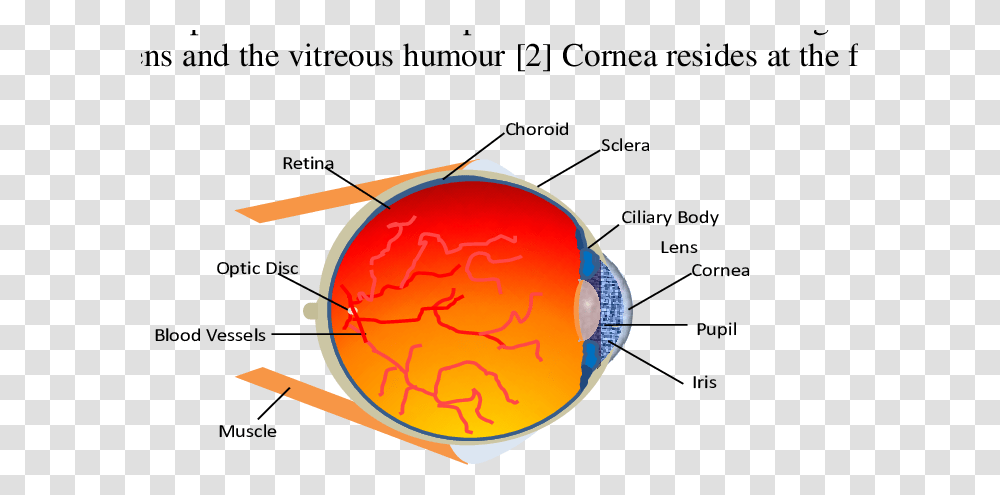 Diagram, Sphere, Astronomy, Outer Space, Universe Transparent Png