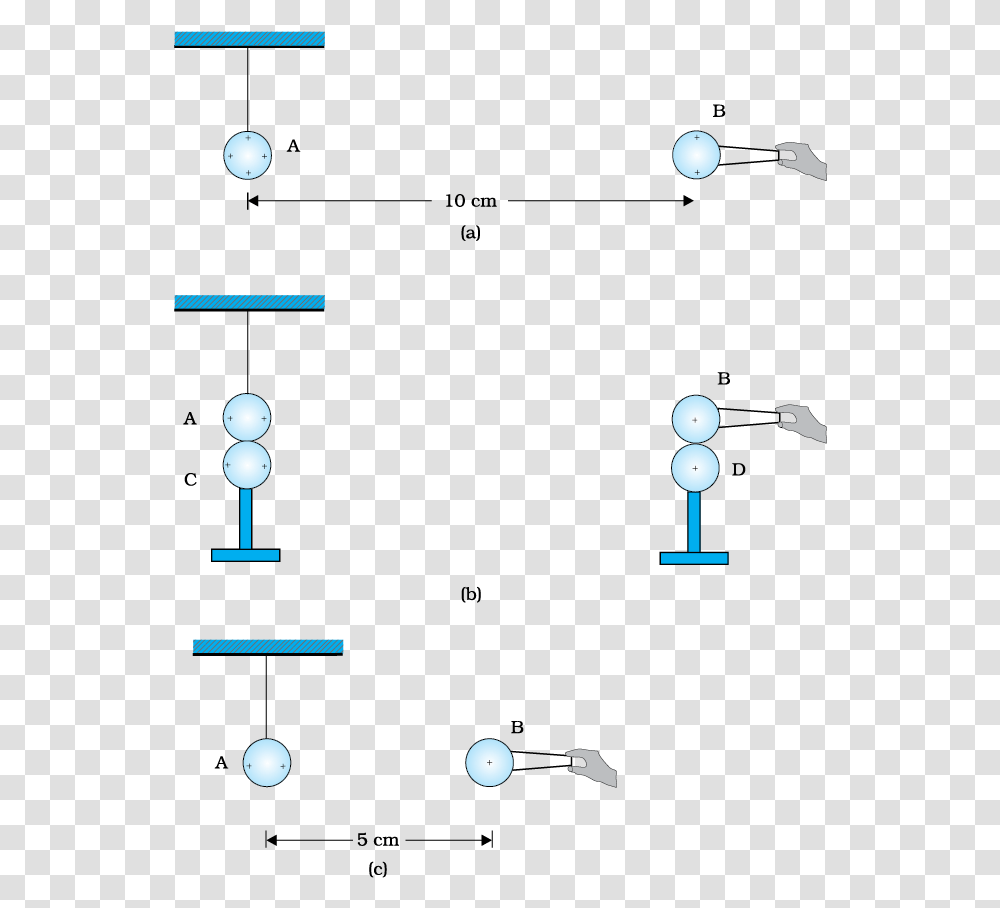 Diagram, Sphere, Bubble Transparent Png