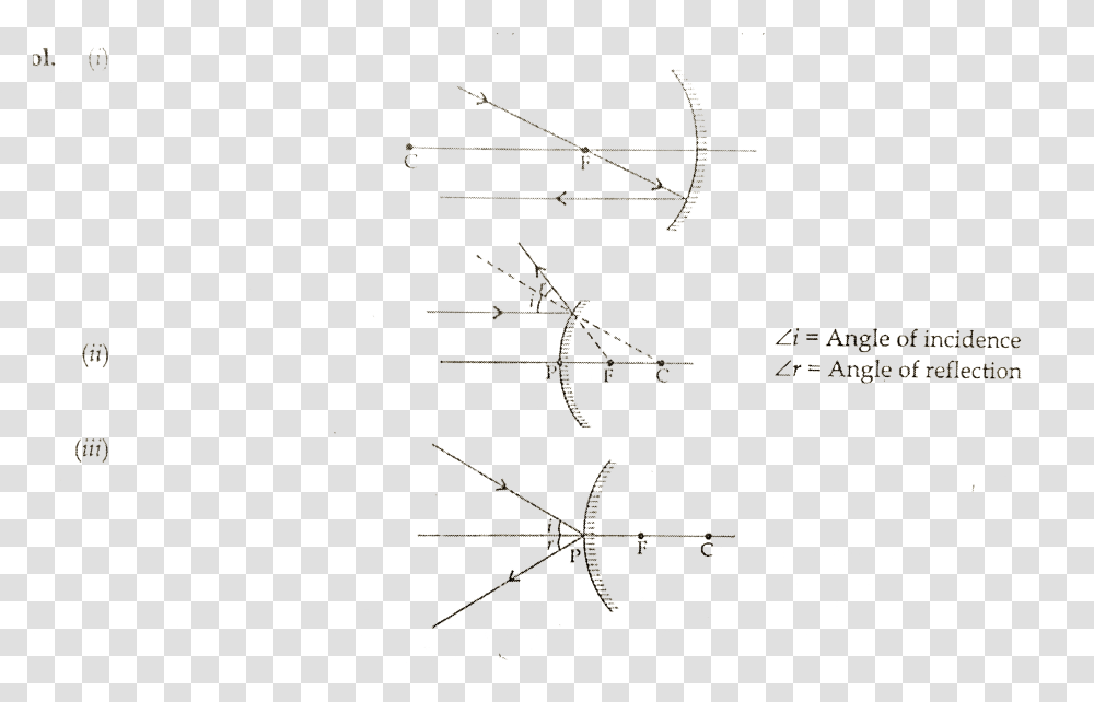 Diagram, Spider Web Transparent Png