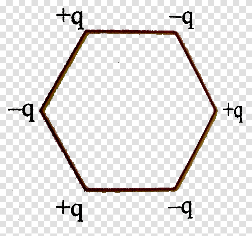 Diagram, Label, Nature Transparent Png