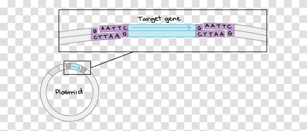 Diagram, Astronomy, Outdoors, Outer Space Transparent Png