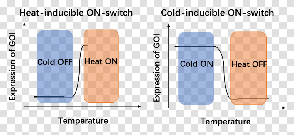 Diagram, Label, Word Transparent Png