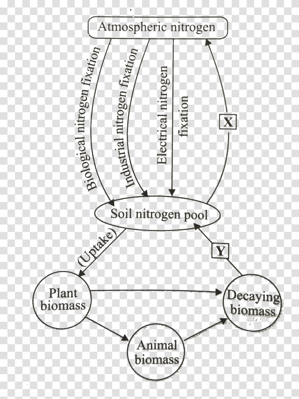 Diagram, Plan, Plot, Passport Transparent Png