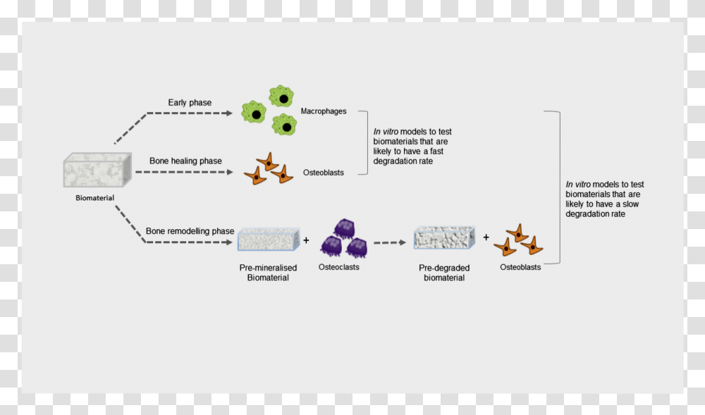 Diagram, Plot, Business Card, Paper Transparent Png