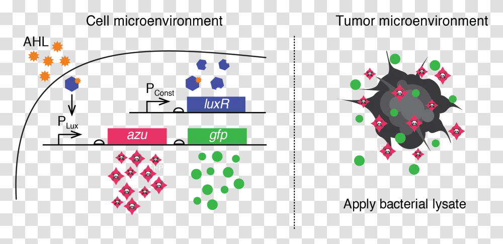 Diagram, Scoreboard, Number Transparent Png