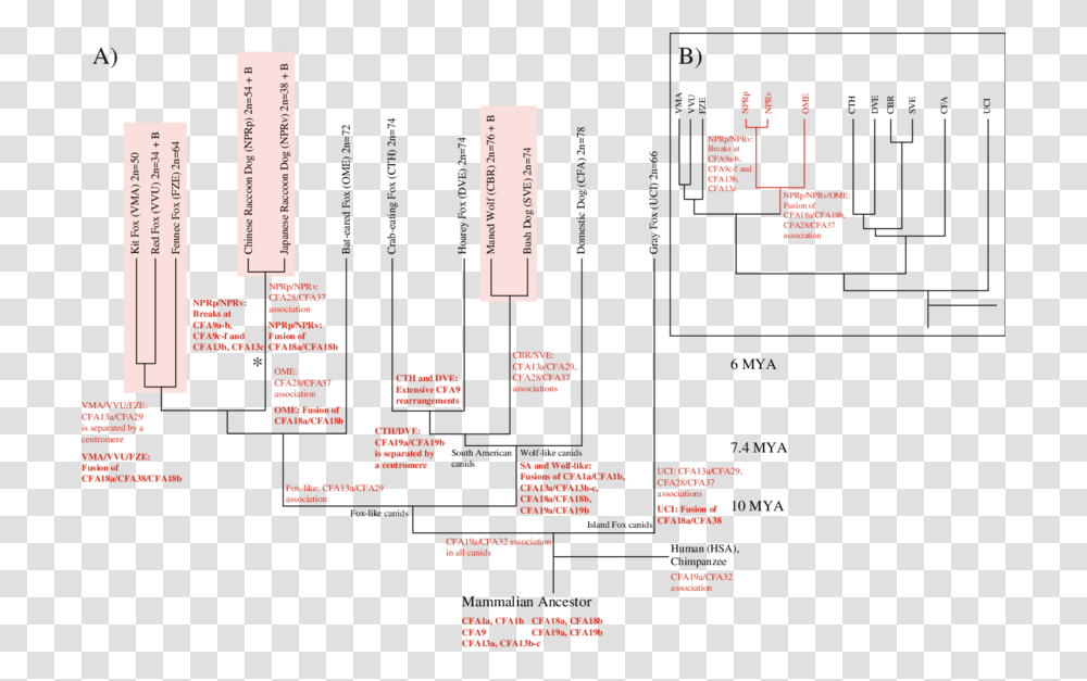 Diagram, Scoreboard, Paper, Plot Transparent Png