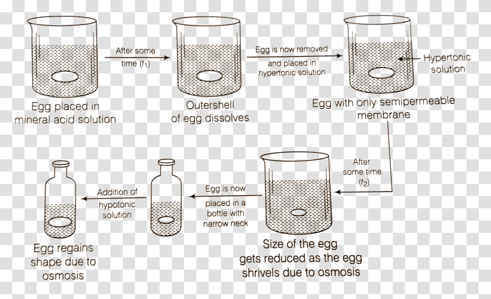 Diagram, Tin, Cylinder, Bottle Transparent Png