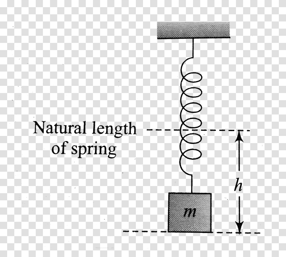 Diagram, Word, Plan Transparent Png