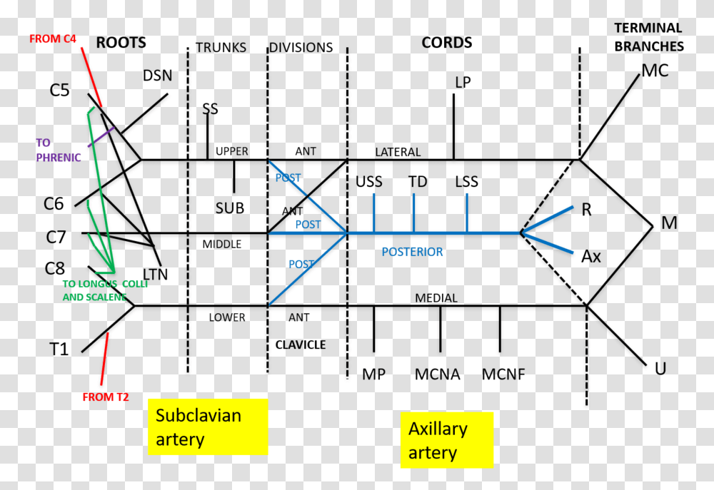 Diagram, Utility Pole, Plot, Construction Transparent Png