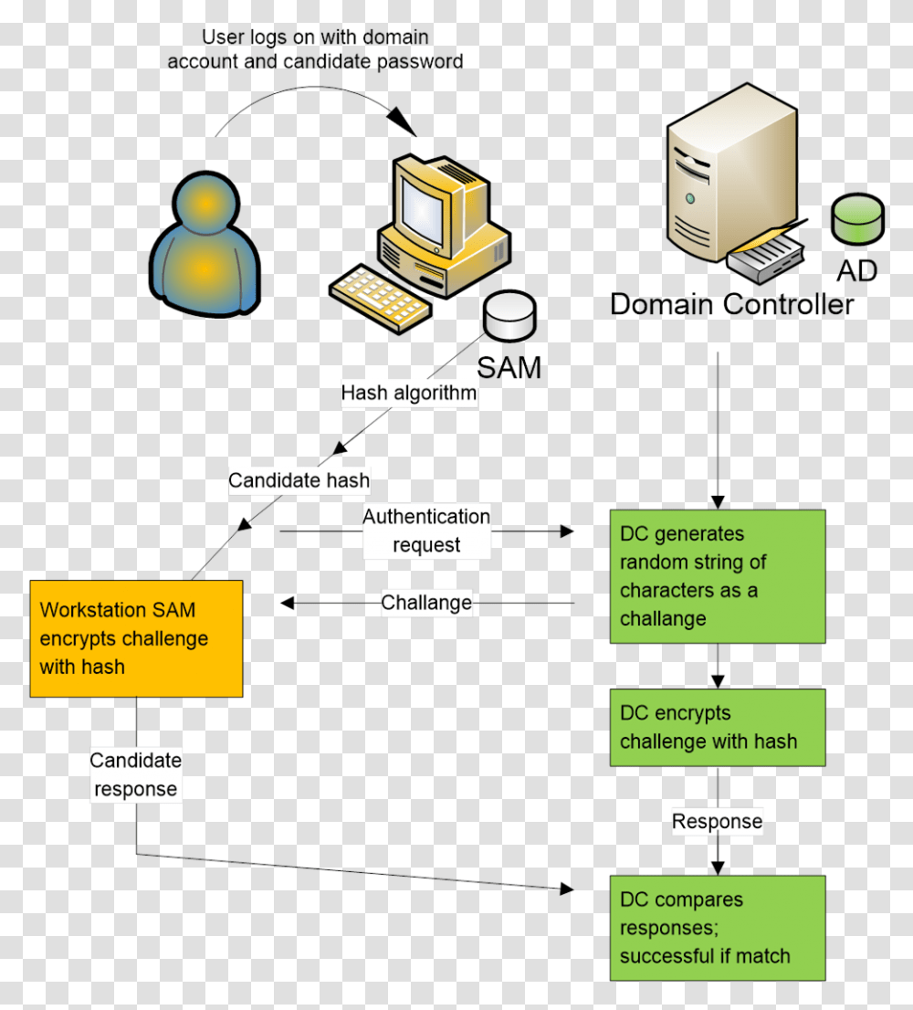 Diagram, Vegetation, Flyer, Building Transparent Png