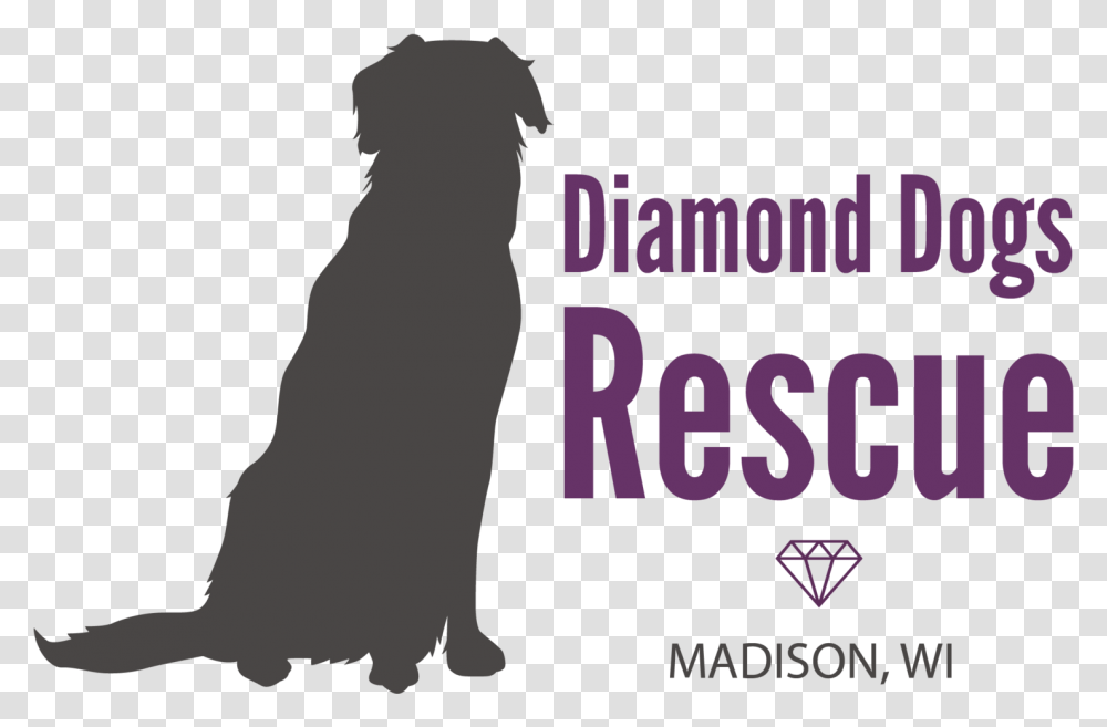 Diamond Dogs Logo Poster, Person, Animal, Mammal Transparent Png