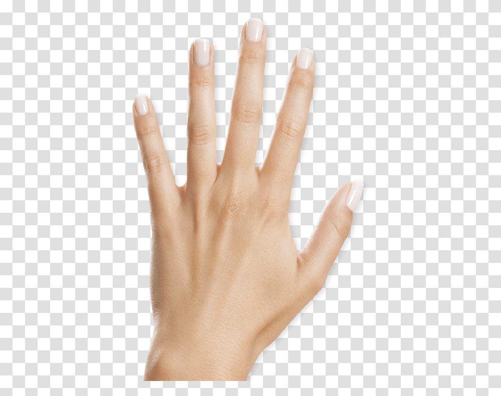 Diamond Hand, Person, Human, Finger, Wrist Transparent Png