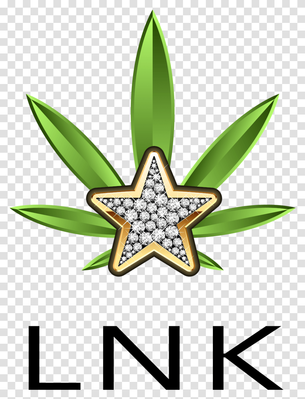Diamond Shine Community, Leaf, Plant, Star Symbol Transparent Png
