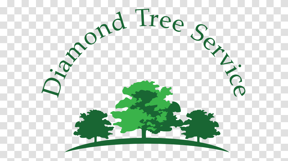 Diamond Tree Service Better Business Profile, Plant, Oak Transparent Png