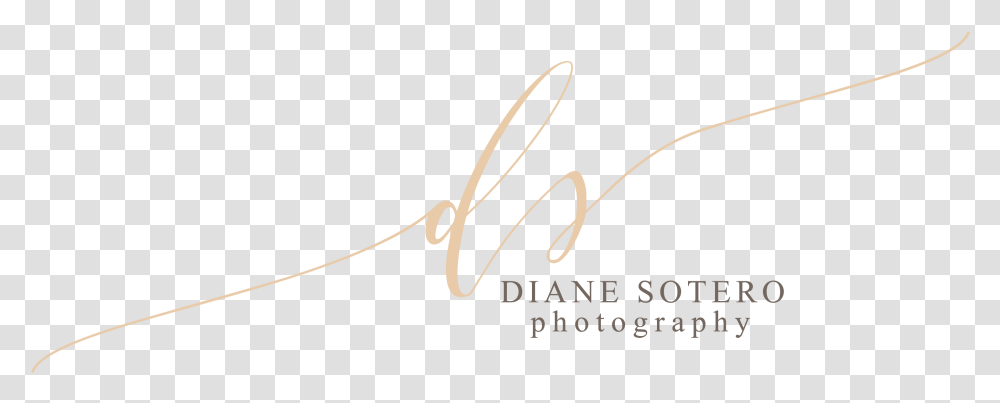 Diane Sotero Calligraphy, Bow, Handwriting, Signature Transparent Png