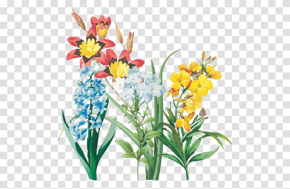 Diary Design Flower, Plant, Blossom, Flower Arrangement, Iris Transparent Png